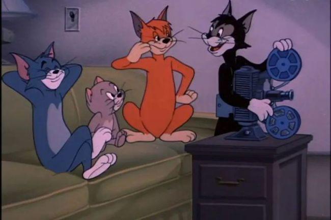 深扒猫和老鼠里的这些情节竟然都是真的