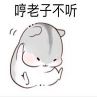 傲娇表情包图片可爱_微信头像图片大全
