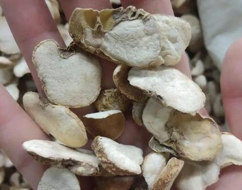 亳州药市半月点评:浙贝母再成众商焦点 金银花跌幅明显