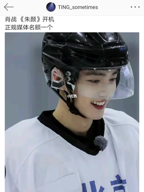 肖战 朱颜_肖战_娱乐_明星娱乐资讯