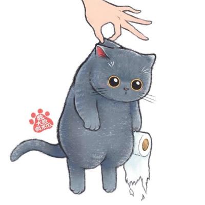 拎猫头像 高清可爱手拎猫头像图片