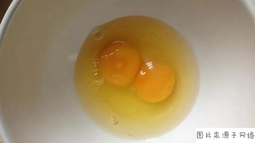母鸡下的双黄蛋真的能孵出两只小鸡吗双黄蛋是不是更有营养
