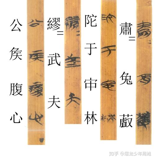 安大简7兔罝对读