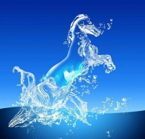 金科伟业磁化水|"一面三吃"垂涎三尺,美食与水的融合