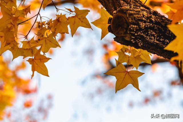摄影图片秋季摄影作品欣赏