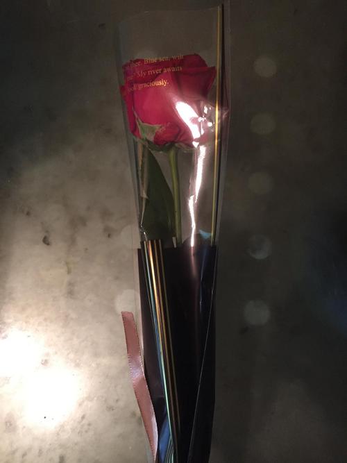 有人要玫瑰花吗?免费送一朵