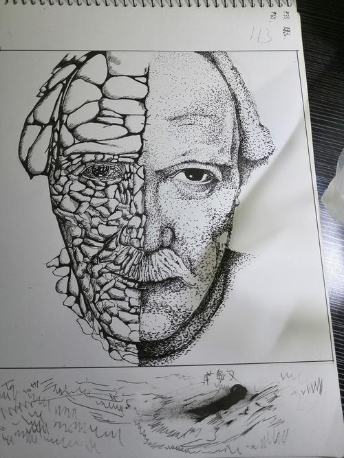 对比构成烟台 |                                              学生