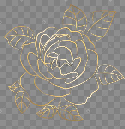 烫金线条感玫瑰花图片