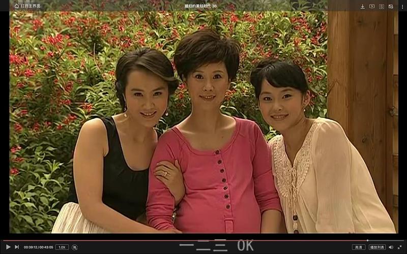 媳妇的美好时代