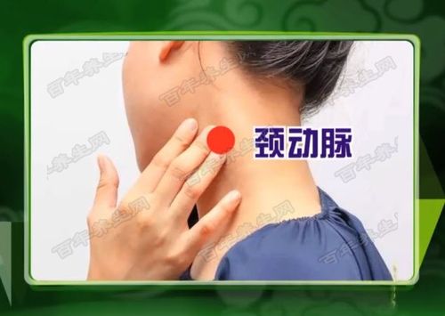 20190215饮食养生汇视频和笔记武欣颈动脉香菇尖椒豆腐的制作