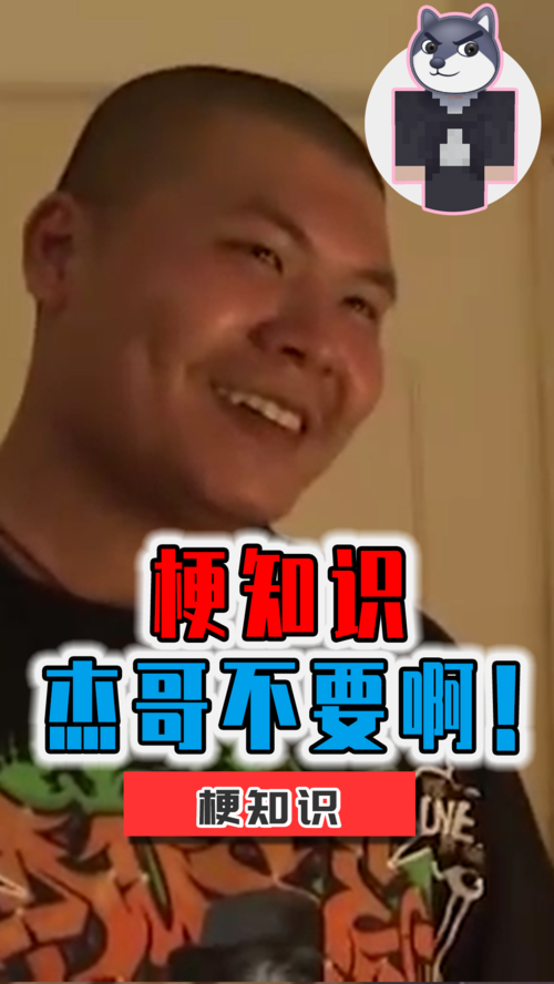 流行梗奥力给讲梗知识之杰哥不要啊