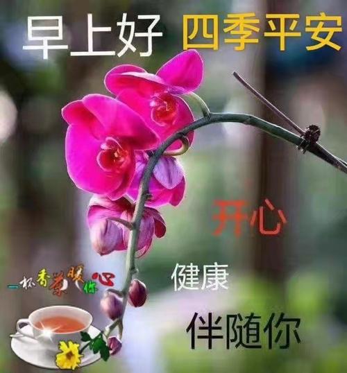 早安问候语经典语录之十八