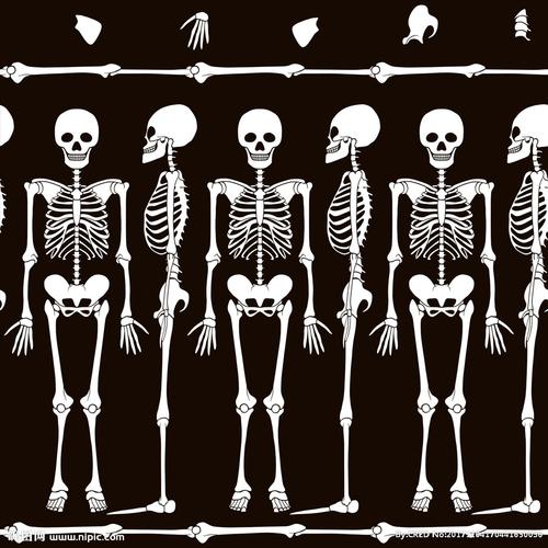 骷髅头 手绘骷髅头 白骨 骷髅矢量图 骨架矢量图 四方连续底纹 侧面