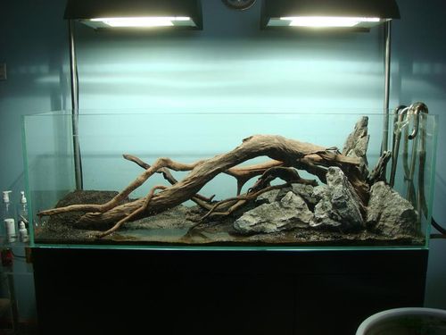 水草缸造景沉木水草泥化妆砂青龙石150cm及以上尺寸设计14