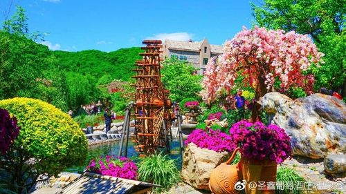 10月16日吉林市圣鑫酒庄 温泉1日游