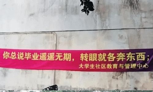 大学生毕业季各大高校的送别横幅戳中泪点看了让人意难平