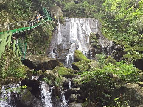 一起来看看安吉都有哪些著名的景点?_tom旅游