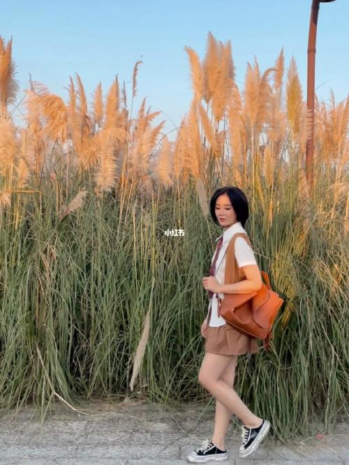 治愈系_三垟湿地生态园攻略_夕阳_芦苇荡_出行_人文风光展示_旅行混剪