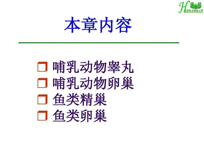 本章内容   哺乳动物睾丸   哺乳动物卵巢   鱼类精巢   鱼类卵巢