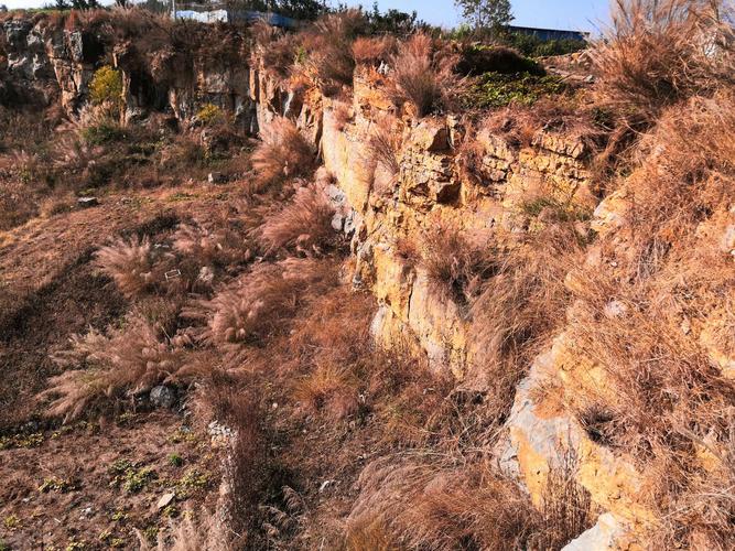 徒步萝卜岗,观赏汉源湖