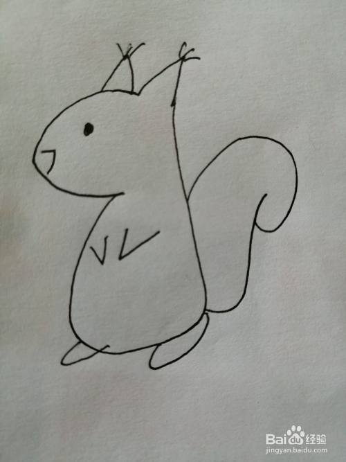 第七步,最后把可爱的小松鼠的小尾巴画出来.可爱的小松鼠就画好了.