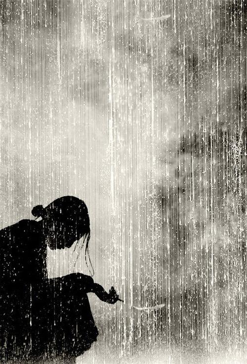 被雨淋湿的骄傲