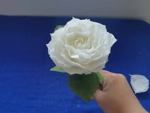 用卫生纸做天方夜谭月季花,创意纸艺手工花_手工制作