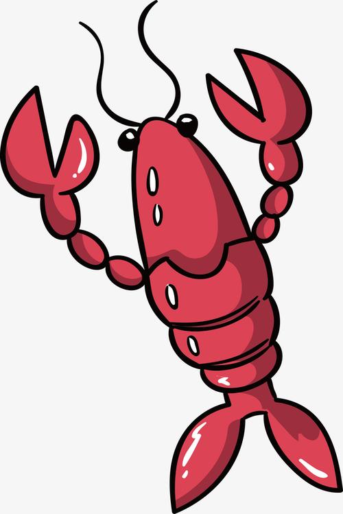 手绘红色小龙虾