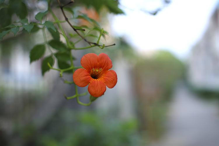 50 14跑焦测试和大光圈样张