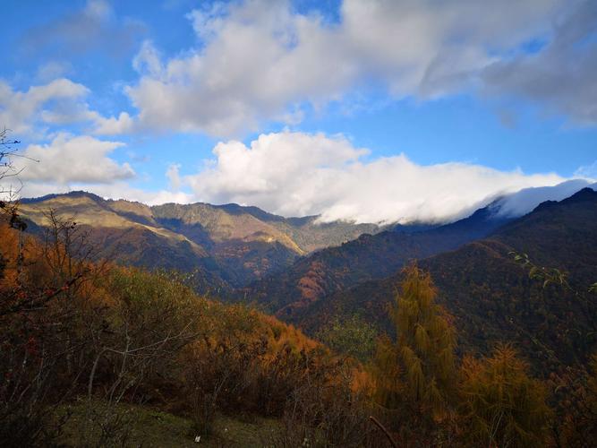 汶川卧龙甘海子徒步游