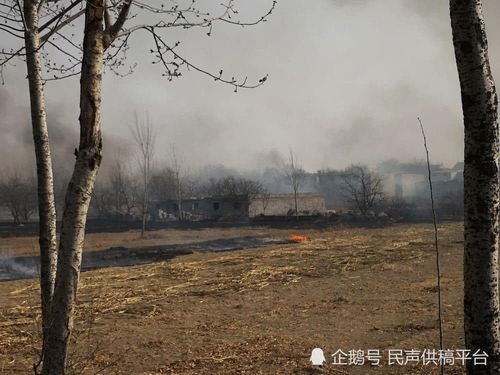 山东滨州:城区道路狼烟四起 几度危及过往行人