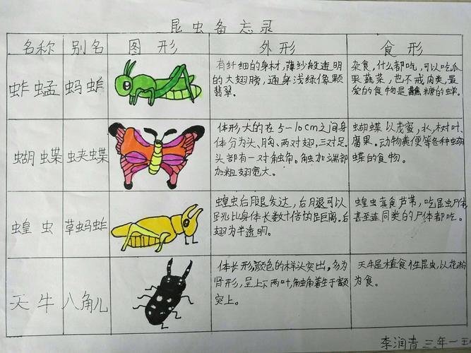 《昆虫备忘录》三年一班