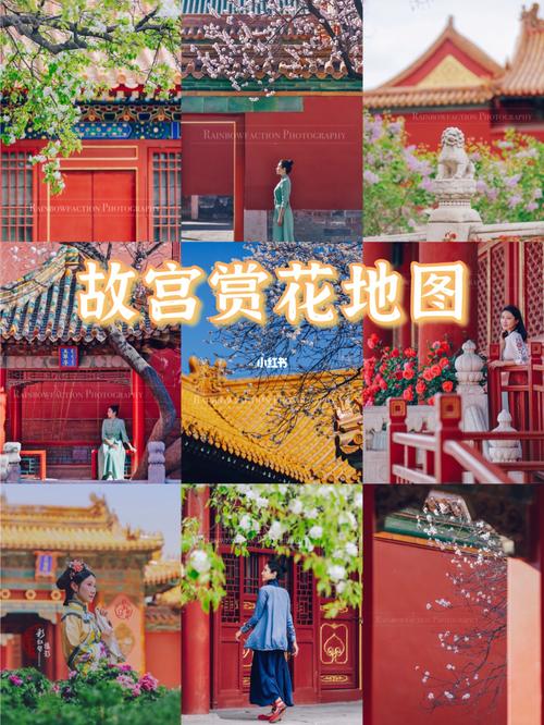北京|故宫赏花地图,紫禁城15个拍花私藏机位_故宫_赏花_故宫博物院