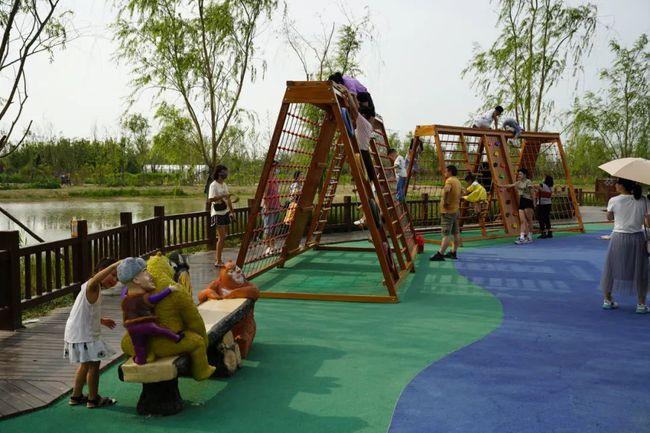 免费开放!辛集童话城堡建成,还有675亩的辛集林