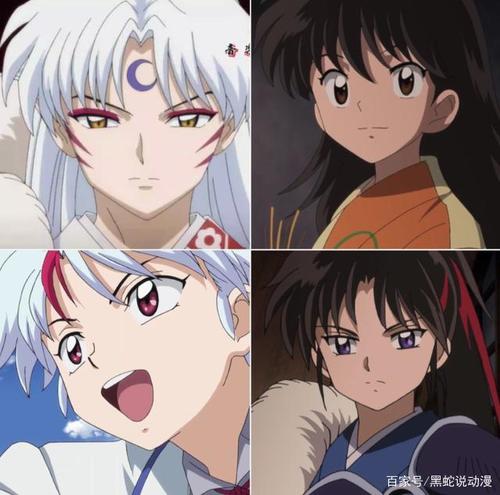 犬夜叉半妖的夜叉姬人物关系图详解 珊瑚大美女越活越