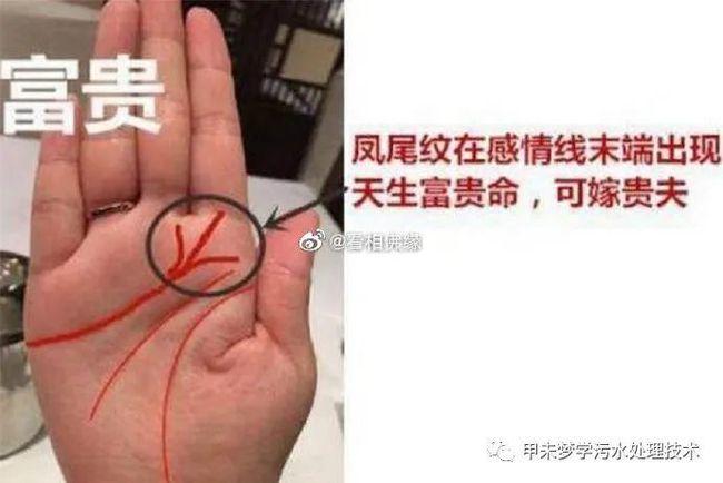 但若是感情线,清晰,无杂纹,且末端分三叉,微微上扬,则被称之为"凤尾纹