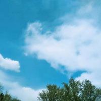 风轻云淡的微信头像【点击鼠标右键下载】