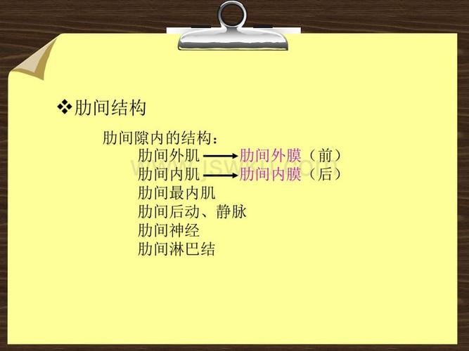 8胸壁,胸膜腔探查
