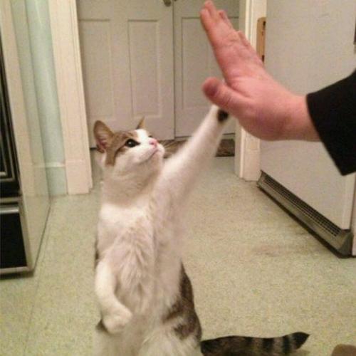 give me five
