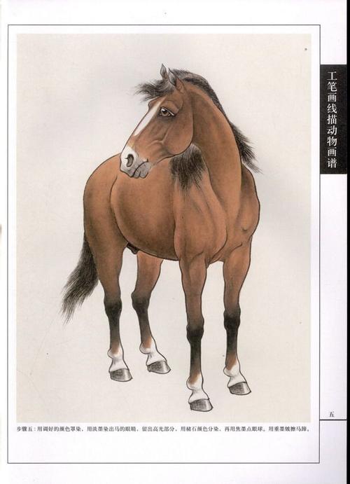 《工笔画线描动物画谱》之骏马篇