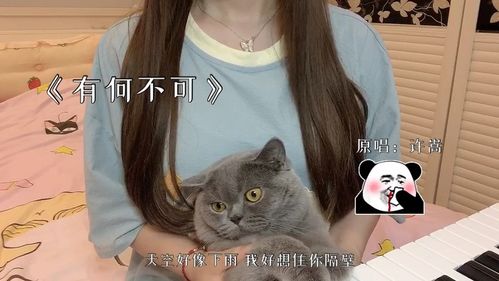 《星星失眠》原唱:哈利halleeee