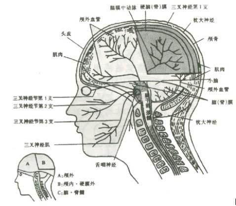 头痛就用好轻松拔罐