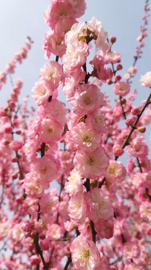 春分时节,莫负好春光