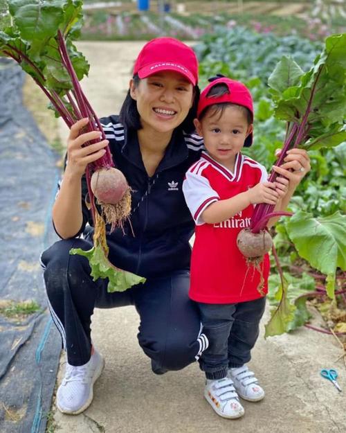 胡杏儿夫妇带娃在农场采摘大儿子乖巧可爱