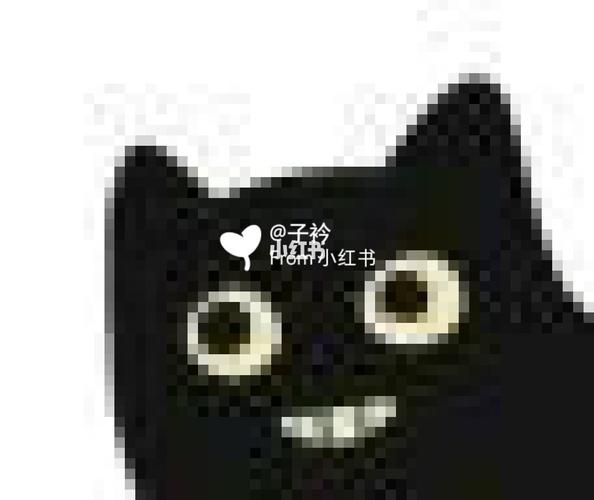 小黑猫表情包(3)_表情包_素材_表情包