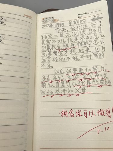 第一次写日记,稚嫩的语言记录着真实的,美好的生活.