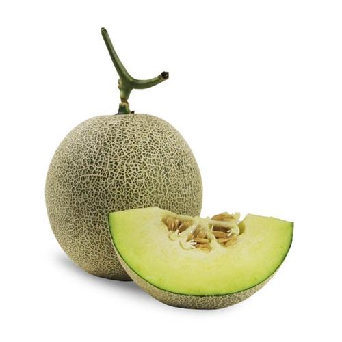 【包邮直发】山东网纹瓜单个装1.5-1.75kg