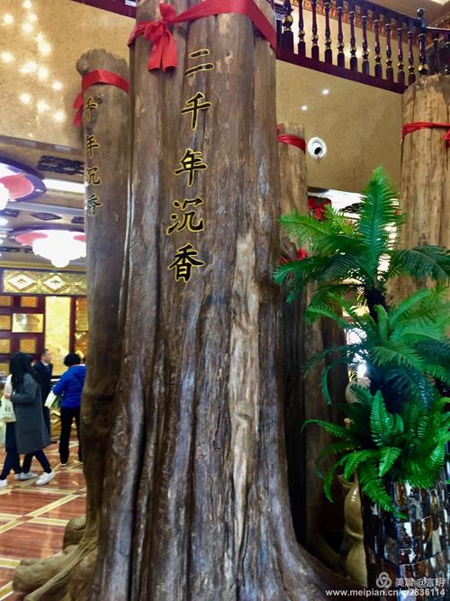 暗香浮动 美不胜收 --亚萍沉香艺术馆印象