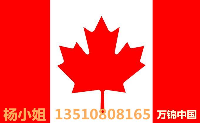 杨小姐个人空间