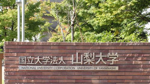 山梨大学